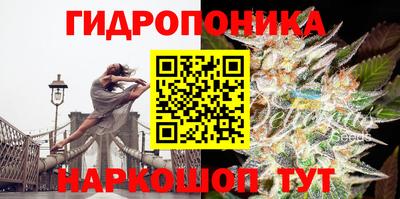 трава Гусев