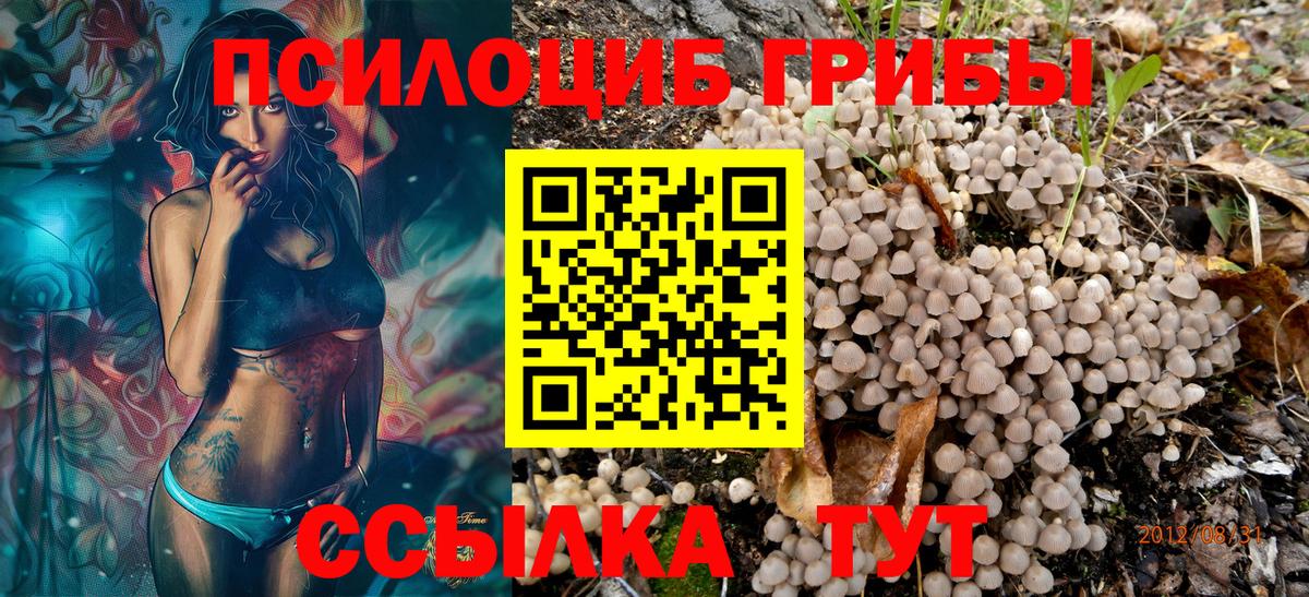 Псилоцибиновые грибы ЛСД Малоярославец